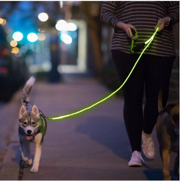 NWOT Nitey Leash LED Glow in The Dark Dog Leash Green - Picture 1 of 5